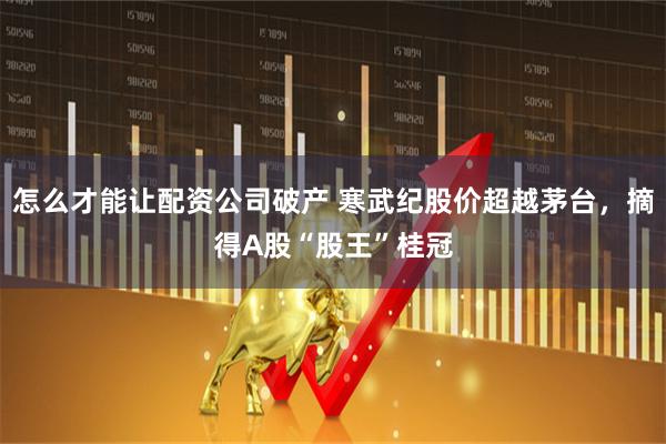 怎么才能让配资公司破产 寒武纪股价超越茅台，摘得A股“股王”桂冠
