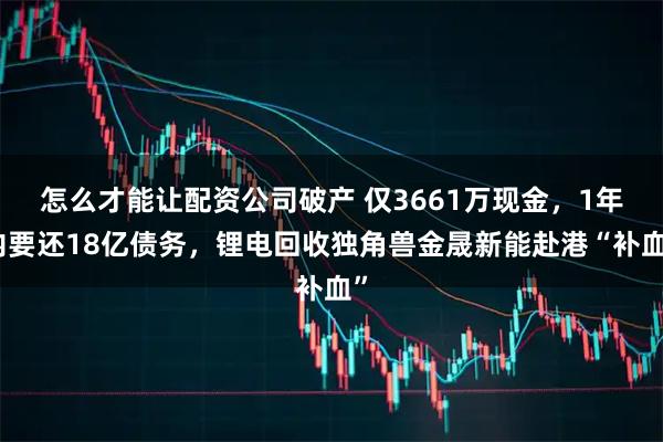 怎么才能让配资公司破产 仅3661万现金，1年内要还18亿债务，锂电回收独角兽金晟新能赴港“补血”