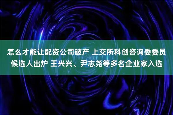 怎么才能让配资公司破产 上交所科创咨询委委员候选人出炉 王兴兴、尹志尧等多名企业家入选