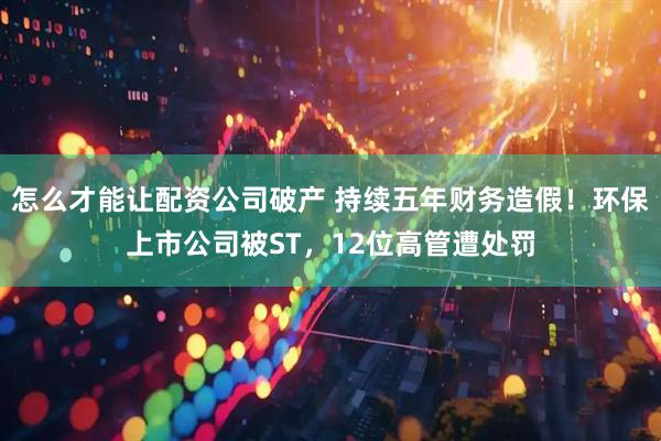 怎么才能让配资公司破产 持续五年财务造假！环保上市公司被ST，12位高管遭处罚