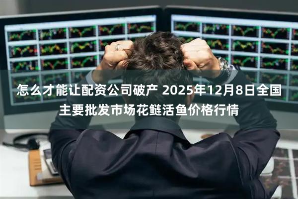 怎么才能让配资公司破产 2025年12月8日全国主要批发市场花鲢活鱼价格行情